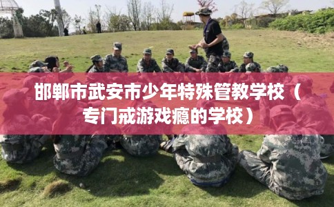 邯郸市武安市少年特殊管教学校(专门戒游戏瘾的学校) 邯郸市武安市少年特殊管教学校(专门戒游戏瘾的学校)