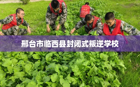 邢台市临西县封闭式叛逆学校 邢台市临西县封闭式叛逆学校