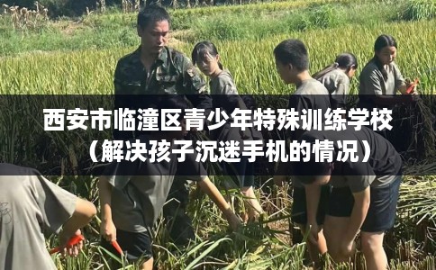 西安市临潼区青少年特殊训练学校(解决孩子沉迷手机的情况) 西安市临潼区青少年特殊训练学校(解决孩子沉迷手机的情况)
