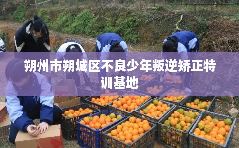 朔州市朔城区不良少年叛逆矫正特训基地