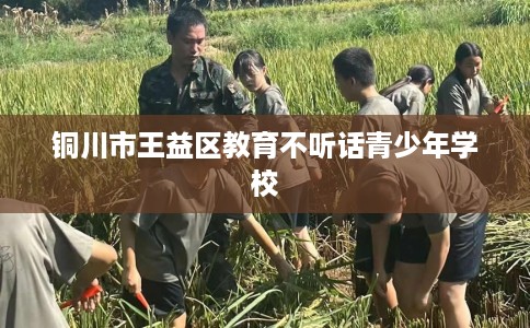 铜川市王益区教育不听话青少年学校