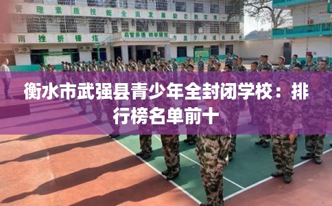 衡水市武强县青少年全封闭学校:排行榜名单前十 衡水市武强县青少年全封闭学校:排行榜名单前十