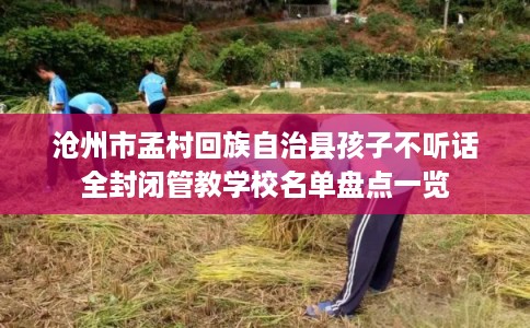 沧州市孟村回族自治县孩子不听话全封闭管教学校名单盘点一览 沧州市孟村回族自治县孩子不听话全封闭管教学校名单盘点一览