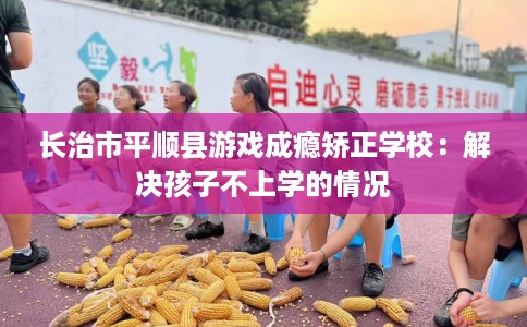 长治市平顺县游戏成瘾矫正学校：解决孩子不上学的情况