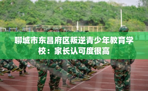 聊城市东昌府区叛逆青少年教育学校:家长认可度很高 聊城市东昌府区叛逆青少年教育学校:家长认可度很高
