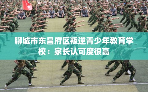 聊城市东昌府区叛逆青少年教育学校:家长认可度很高 聊城市东昌府区叛逆青少年教育学校:家长认可度很高