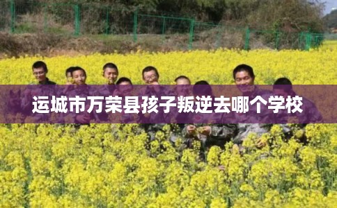 运城市万荣县孩子叛逆去哪个学校 运城市万荣县孩子叛逆去哪个学校