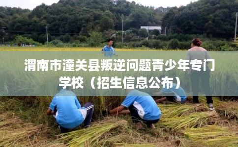 渭南市潼关县叛逆问题青少年专门学校（招生信息公布）