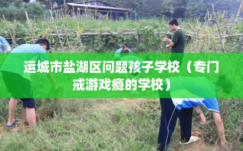 运城市盐湖区问题孩子学校（专门戒游戏瘾的学校）