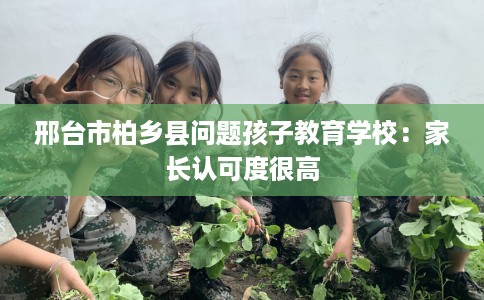 邢台市柏乡县问题孩子教育学校:家长认可度很高 邢台市柏乡县问题孩子教育学校:家长认可度很高