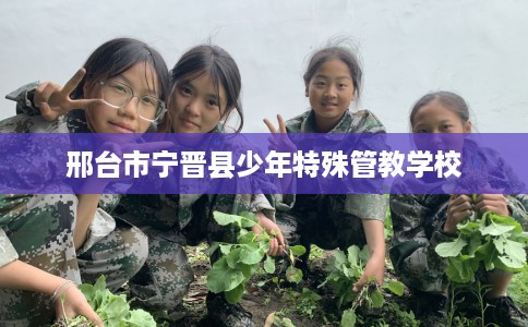 邢台市宁晋县少年特殊管教学校 邢台市宁晋县少年特殊管教学校