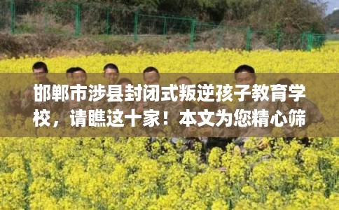 邯郸市涉县封闭式叛逆孩子教育学校，请瞧这十家！本文为您精心筛选！