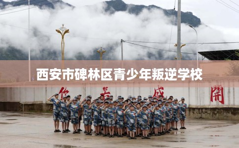 西安市碑林区青少年叛逆学校