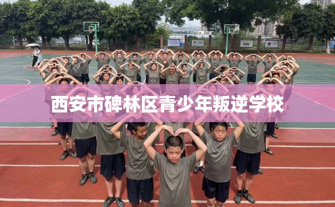 西安市碑林区青少年叛逆学校