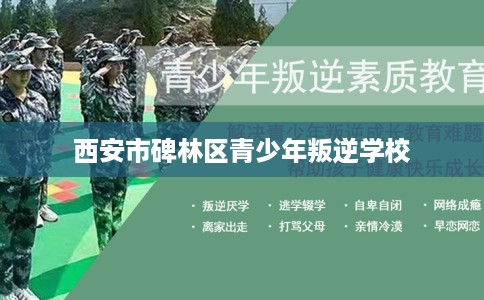 西安市碑林区青少年叛逆学校