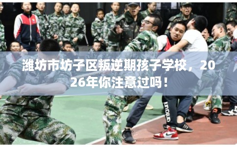 潍坊市坊子区叛逆期孩子学校，2026年你注意过吗！