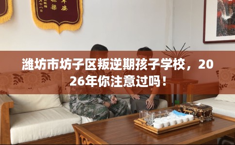 潍坊市坊子区叛逆期孩子学校，2026年你注意过吗！