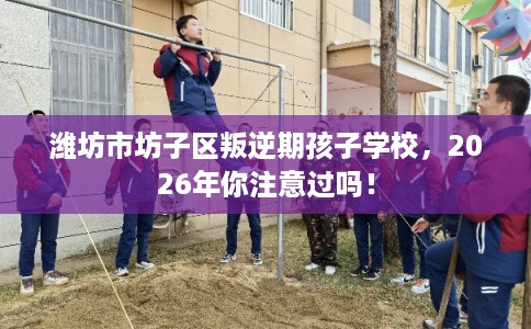 潍坊市坊子区叛逆期孩子学校，2026年你注意过吗！