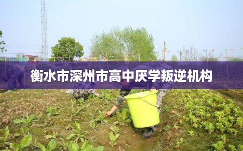 衡水市深州市高中厌学叛逆机构 衡水市深州市高中厌学叛逆机构