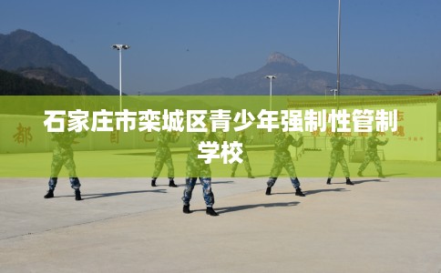 石家庄市栾城区青少年强制性管制学校