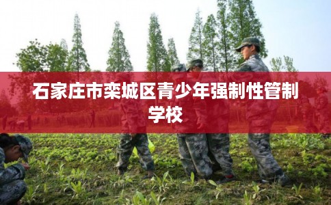 石家庄市栾城区青少年强制性管制学校