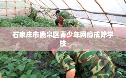 石家庄市鹿泉区青少年网瘾戒除学校 石家庄市鹿泉区青少年网瘾戒除学校