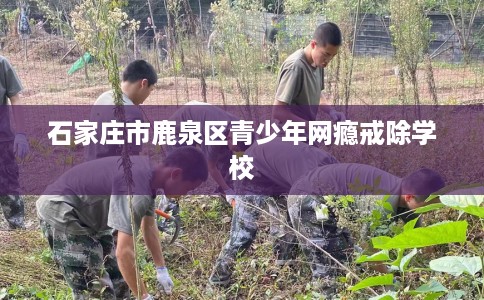 石家庄市鹿泉区青少年网瘾戒除学校 石家庄市鹿泉区青少年网瘾戒除学校