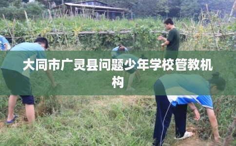 大同市广灵县问题少年学校管教机构