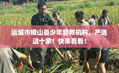 运城市稷山县少年管教机构,严选这十家!快来看看! 运城市稷山县少年管教机构,严选这十家!快来看看!