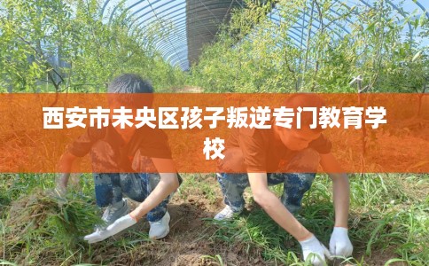 西安市未央区孩子叛逆专门教育学校 西安市未央区孩子叛逆专门教育学校