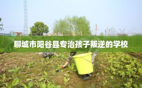 聊城市阳谷县专治孩子叛逆的学校 聊城市阳谷县专治孩子叛逆的学校