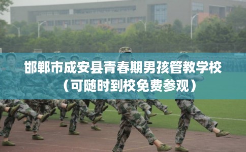 邯郸市成安县青春期男孩管教学校（可随时到校免费参观）