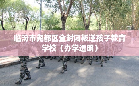 临汾市尧都区全封闭叛逆孩子教育学校（办学透明）