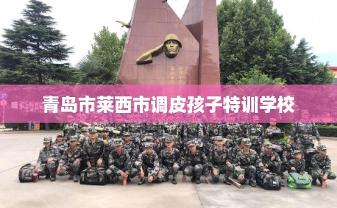 青岛市莱西市调皮孩子特训学校