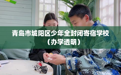 青岛市城阳区少年全封闭寄宿学校(办学透明) 青岛市城阳区少年全封闭寄宿学校(办学透明)