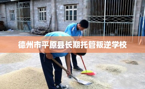 德州市平原县长期托管叛逆学校