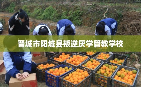 晋城市阳城县叛逆厌学管教学校