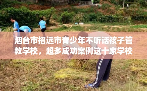 烟台市招远市青少年不听话孩子管教学校,超多成功案例这十家学校! 烟台市招远市青少年不听话孩子管教学校,超多成功案例这十家学校!