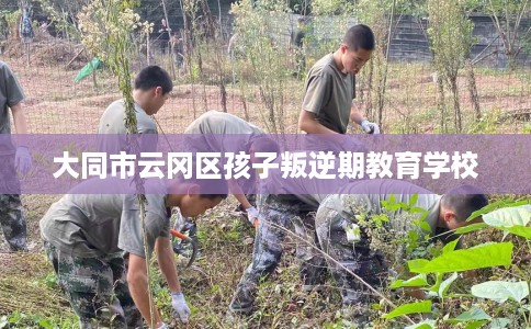 大同市云冈区孩子叛逆期教育学校