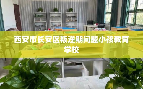 西安市长安区叛逆期问题小孩教育学校 西安市长安区叛逆期问题小孩教育学校