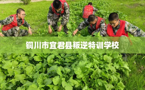 铜川市宜君县叛逆特训学校 铜川市宜君县叛逆特训学校