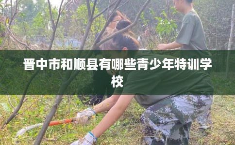 晋中市和顺县有哪些青少年特训学校 晋中市和顺县有哪些青少年特训学校