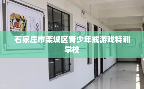 石家庄市栾城区青少年戒游戏特训学校 石家庄市栾城区青少年戒游戏特训学校