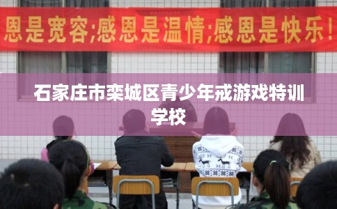 石家庄市栾城区青少年戒游戏特训学校 石家庄市栾城区青少年戒游戏特训学校