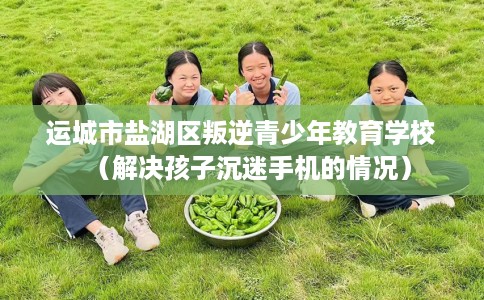 运城市盐湖区叛逆青少年教育学校（解决孩子沉迷手机的情况）