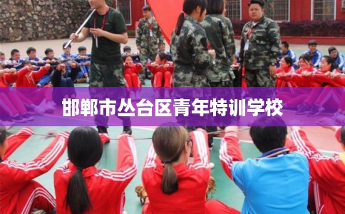 邯郸市丛台区青年特训学校 邯郸市丛台区青年特训学校