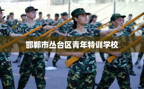 邯郸市丛台区青年特训学校 邯郸市丛台区青年特训学校