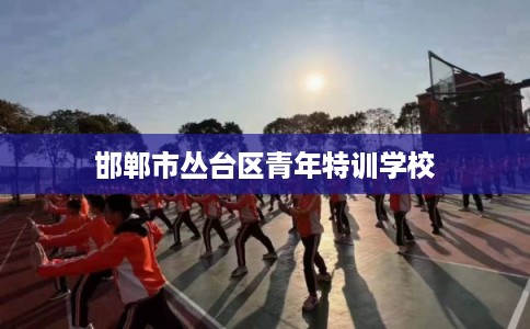 邯郸市丛台区青年特训学校 邯郸市丛台区青年特训学校