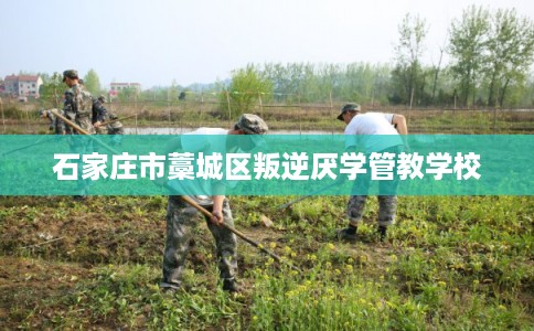 石家庄市藁城区叛逆厌学管教学校