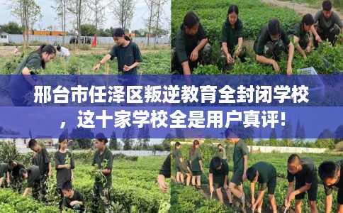 邢台市任泽区叛逆教育全封闭学校，这十家学校全是用户真评!